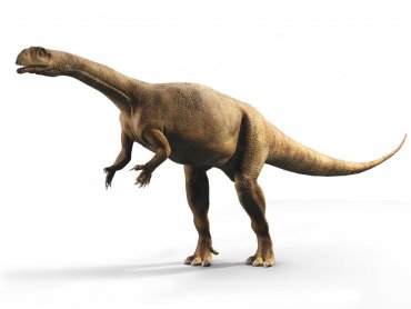 Южноафриканский динозавр рос c разной скоростью от сезона к сезону