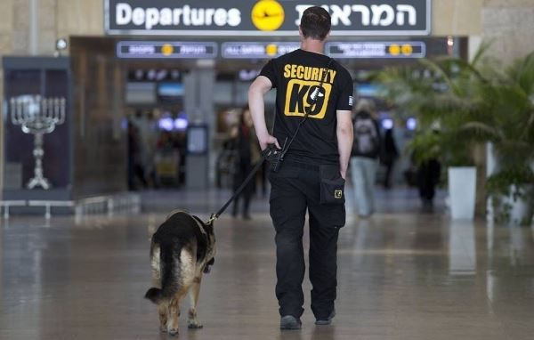 Все иностранные авиакомпании приостановили рейсы в Израиль
